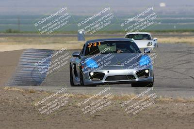 media/May-03-2024-PCA Central Coast (Fri) [[eaa7da0ee1]]/Yellow Group/Session 1 (Grapevine)/